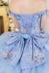 Enchanting Floral Details Quinceañera Ball Gown for Women, Sizes 4/XS-16/3X